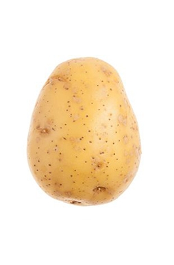 Gold Potato