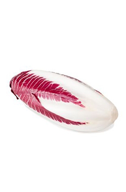 Radicchio