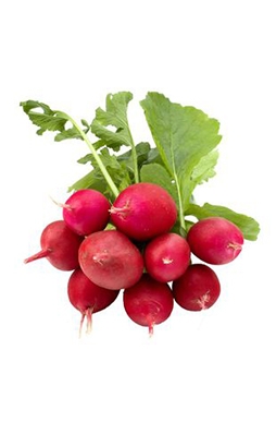 Radish